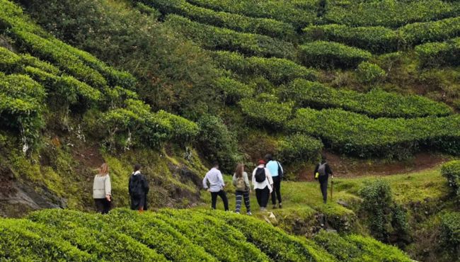 Jornadas Micológicas en Cercedilla